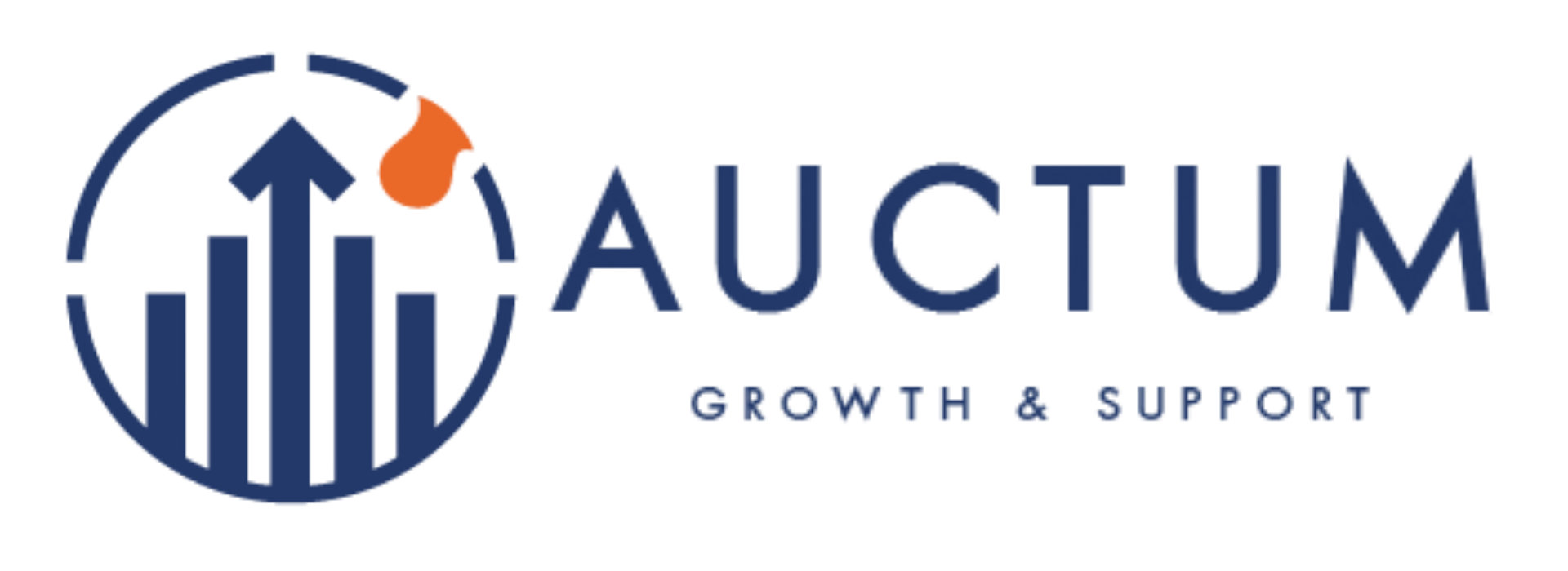 Auctum Solutions